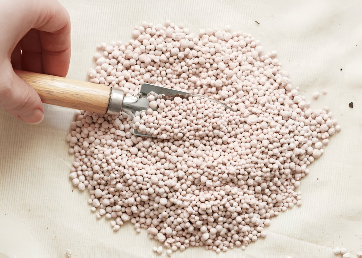 DAP Fertilizer